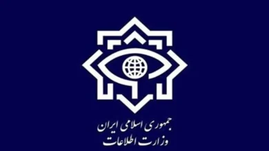 وزارت اطلاعات: با ارسال‌ کنندگان تصویر برای شبکه‌ های ماهواره‌ ای به‌ شدت برخورد می‌شود